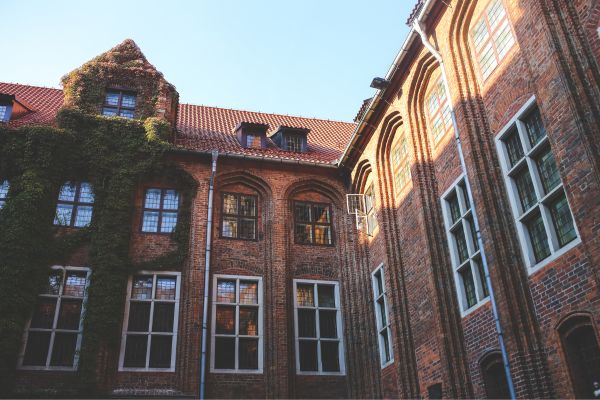 What to expect in law school